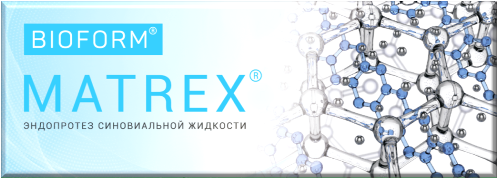 Главная